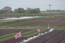 _7811323.jpg _7811323.jpg