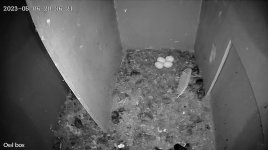 0_20230506203626.jpg 0_20230506203626.jpg