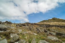 005 Ger Tor 01-1000454 PS Adj.JPG 005 Ger Tor 01-1000454 PS Adj.JPG