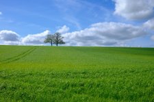 LRCV8836.jpeg LRCV8836.jpeg