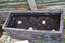 _DSC0004.JPG _DSC0004.JPG