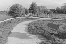 _7823043.jpg _7823043.jpg