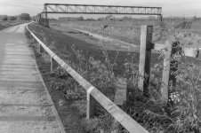 _7823027.jpg _7823027.jpg