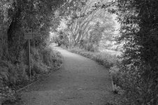 _7823022.jpg _7823022.jpg