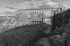 _7823303.jpg _7823303.jpg