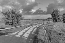 _7823301.jpg _7823301.jpg