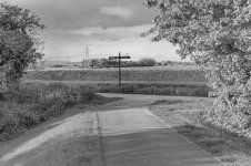 _7823295.jpg _7823295.jpg