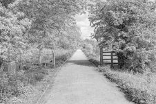 _7811585.jpg _7811585.jpg