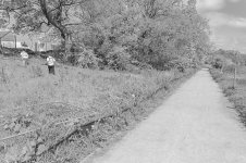 _7811586.jpg _7811586.jpg