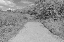 _7811609.jpg _7811609.jpg