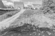 _7811591.jpg _7811591.jpg