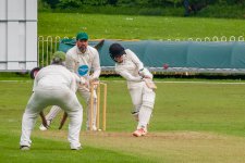 R7A03811A.jpg R7A03811A.jpg