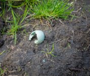 week 19 - color version.jpg