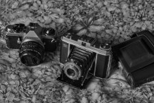 DSCF3784.jpg DSCF3784.jpg