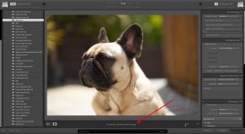Screenshot 2023-05-15 at 16.46.02.jpg Screenshot 2023-05-15 at 16.46.02.jpg