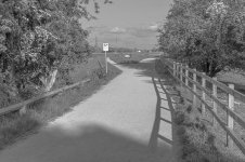 _7811878.jpg _7811878.jpg