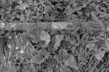 _7811872.jpg _7811872.jpg