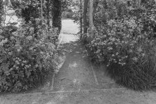 _7811868.jpg _7811868.jpg