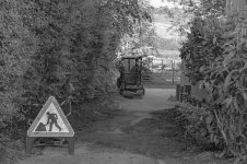 _7811857.jpg _7811857.jpg