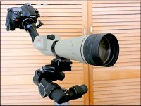 Nikon D600 fitted to Kowa TSN1 FZ82 P1010215.JPG