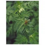 Square Insta Portrait copy.jpg