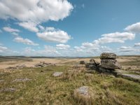 010 Fox Tor 04-0474 PS Adj.JPG 010 Fox Tor 04-0474 PS Adj.JPG