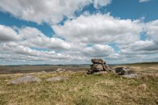 012 Fox Tor 06a-0480 PS Adj.JPG 012 Fox Tor 06a-0480 PS Adj.JPG