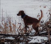 Craig O'Brine's ruby (2).jpg