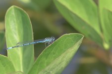 _7823509-Enhanced-NR.jpg _7823509-Enhanced-NR.jpg