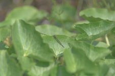 _7812236.jpg _7812236.jpg