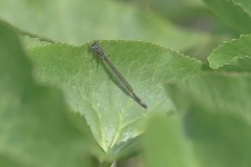 _7812236-2.jpg _7812236-2.jpg