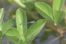 _7823509-Enhanced-NR-3.jpg _7823509-Enhanced-NR-3.jpg