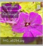 Capture.JPG Capture.JPG