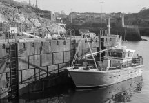 1813_025.jpg 1813_025.jpg