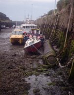 1815_008.jpg 1815_008.jpg