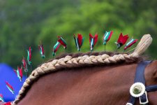 Week 21 - near (1 of 1).jpg