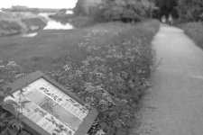 _7512656.jpg _7512656.jpg