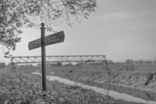 _7512658.jpg _7512658.jpg