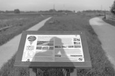 _7512667.jpg _7512667.jpg