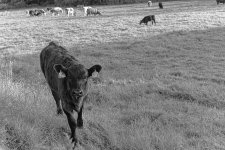 _7512675.jpg _7512675.jpg