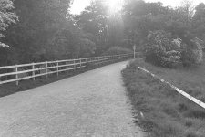 _7512666.jpg _7512666.jpg