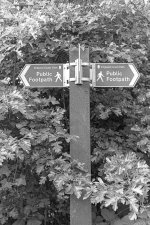 _7512686.jpg _7512686.jpg