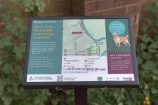 _7512688.jpg _7512688.jpg