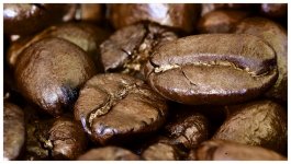 L1008531 Edited.jpeg L1008531 Edited.jpeg