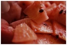 L1005575.jpeg L1005575.jpeg