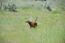 1685248226251.jpeg 1685248226251.jpeg