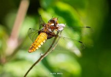 P1034724.jpg P1034724.jpg