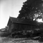 IMG_7988.jpeg IMG_7988.jpeg