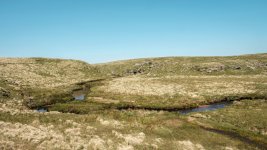 031 East Dart River 03-6556 PS Adj.JPG 031 East Dart River 03-6556 PS Adj.JPG