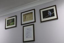 IMG_3422.jpg IMG_3422.jpg